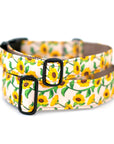 Sunflower Dog Collar