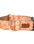 Harvest Squirrel Dog Collar