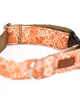 Harvest Squirrel Dog Collar