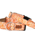 Harvest Squirrel Dog Collar