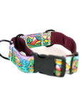 Rainbow Ridge Buckle-On Martingale Dog Collar | Limited Artist Series
