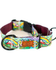 Rainbow Ridge Hybrid Martingale Dog Collar | Limited Artist Series