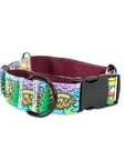 Rainbow Ridge Buckle-On Martingale Dog Collar | Limited Artist Series