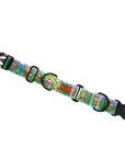Rainbow Ridge Buckle-On Martingale Dog Collar | Limited Artist Series