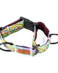 Rainbow Ridge Buckle-On Martingale Dog Collar | Limited Artist Series