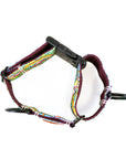Rainbow Ridge Buckle-On Martingale Dog Collar | Limited Artist Series