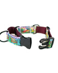 Rainbow Ridge Buckle-On Martingale Dog Collar | Limited Artist Series