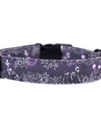 Spooky Nights Dog Collar