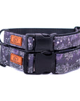 Spooky Nights Dog Collar