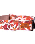 Cozy Leaves Dog Collar