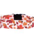 Cozy Leaves Dog Collar
