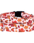 Cozy Leaves Dog Collar