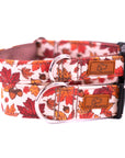 Cozy Leaves Dog Collar