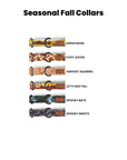 Fabric Martingale Dog Collar Three Pack (choose your designs)