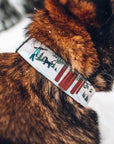 PNW Slopes Dog Collar