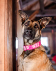Neon Pink WILD Dog Collar