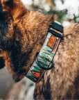 Rustic Cabin Dog Collar