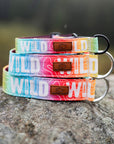 Rainbow Topo Wild Dog Collar