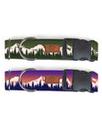 Plastic Buckle Dog Collar Two Pack (choose your designs)