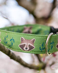 Olive Raccoon Dog Collar