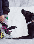 PNW Slopes Dog Collar