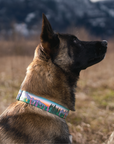 Teton Sunrise Dog Collar