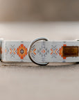Apricot Dog Collar