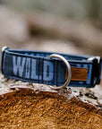 Navy Blue Boy Wild Dog Collar
