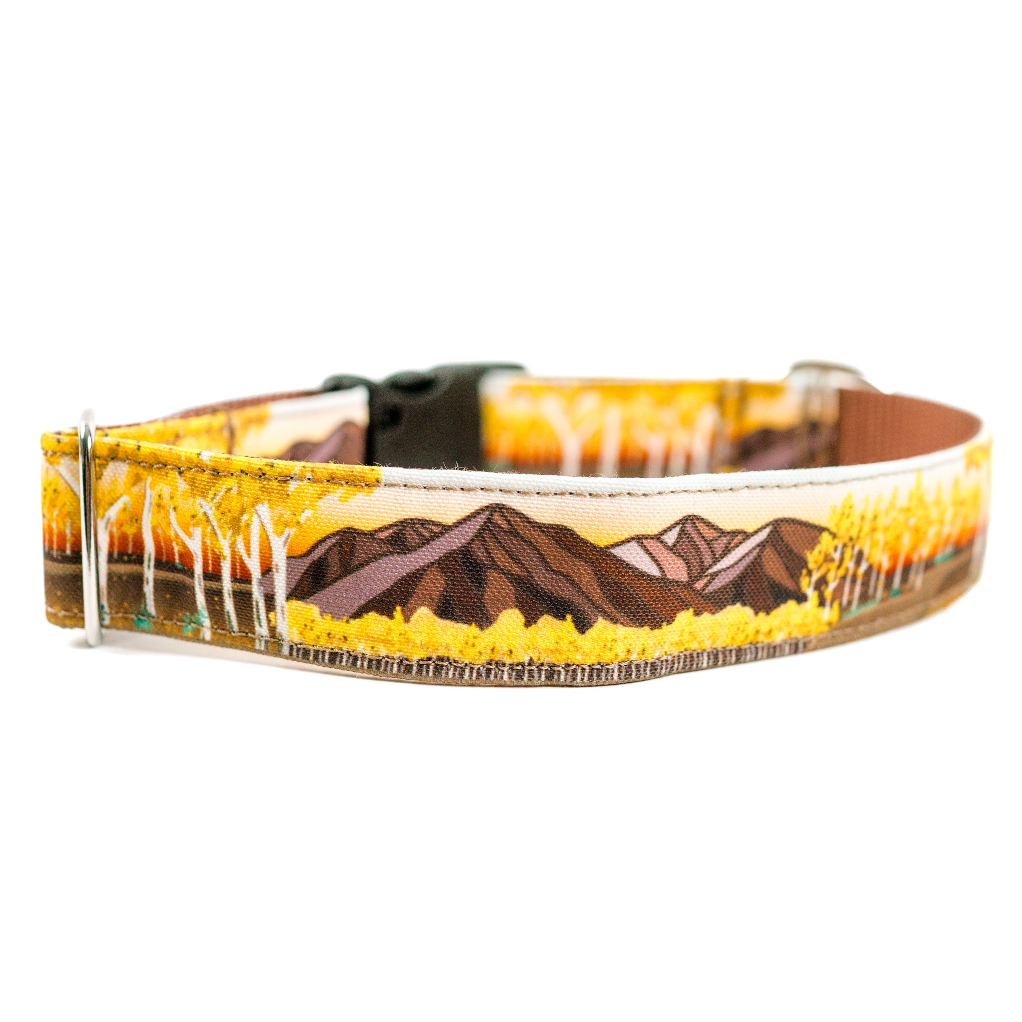 Aspen Colorado Dog Collar Fall Leaves Dog Collar GrayandHound