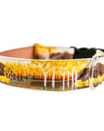 Fall Leaves Dog Collar