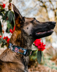 Dusk Floral Dog Collar