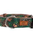 Enchanted Dog Collar