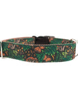 Enchanted Dog Collar