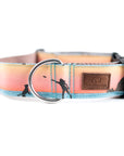 Sunset Frisbee Dog Collar