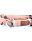 Sunset Frisbee Dog Collar