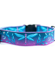 Blue and Purple Dragonfly Dog Collar