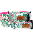 Butterfly Garden Dog Collar
