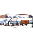 Let's Hike Winter Dog Collar