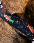 Kenai River Dog Collar