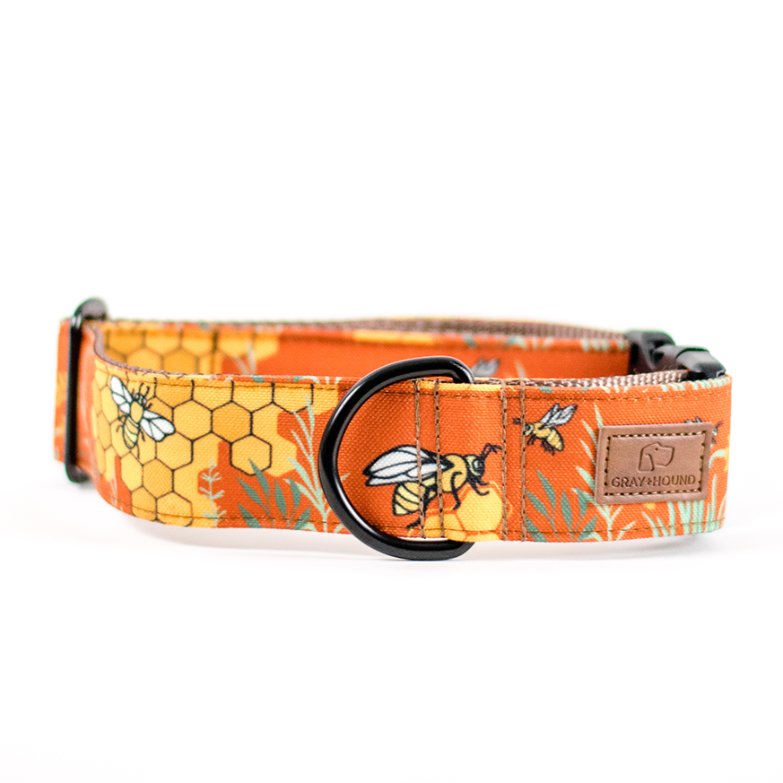 Honey Bee Dog Collar