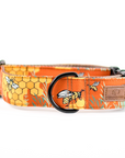 Orange Honey Bee Dog Collar, Honeycomb