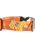 Orange Honey Bee Dog Collar