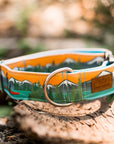Alpine Lake Paddle Board Dog Collar