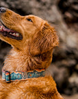 Desert Wolf Dog Collar | Artist Series
