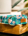 Tropical Monstera Plant Dog Collar