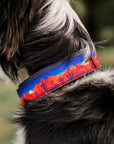 Red Rock Desert Night Sky Dog Collar