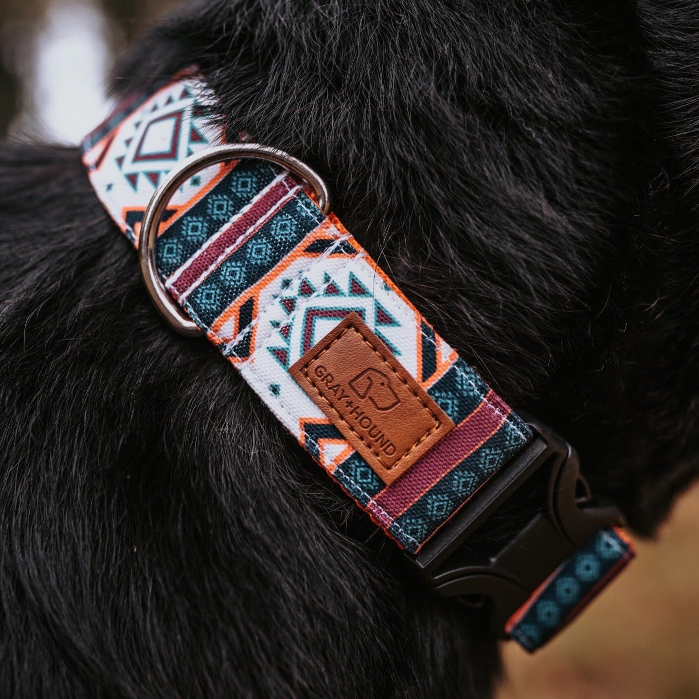 Leather aztec dog sales collar