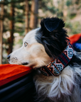 Purple Aztec Dog Collar on Mini Aussie