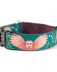 Pink and Teal Owl Dog Collar