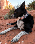 Glacier Geo Dog Collar